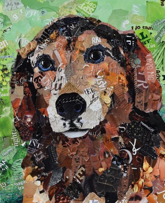 Custom Dog, Cat, and Horse Commissions – Deborah Shapiro Art