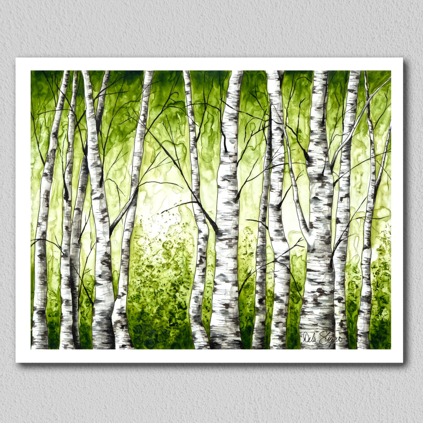 Birch Trees 1