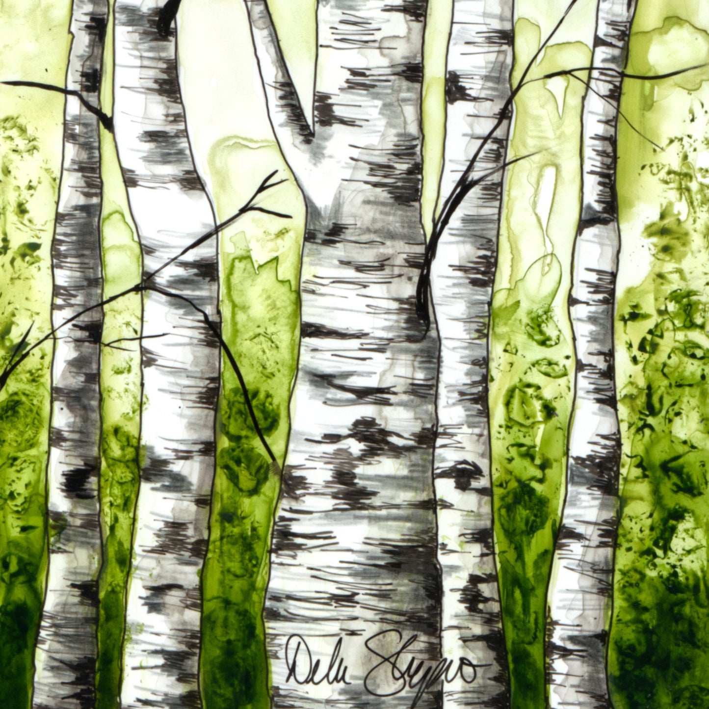 Birch Trees 1