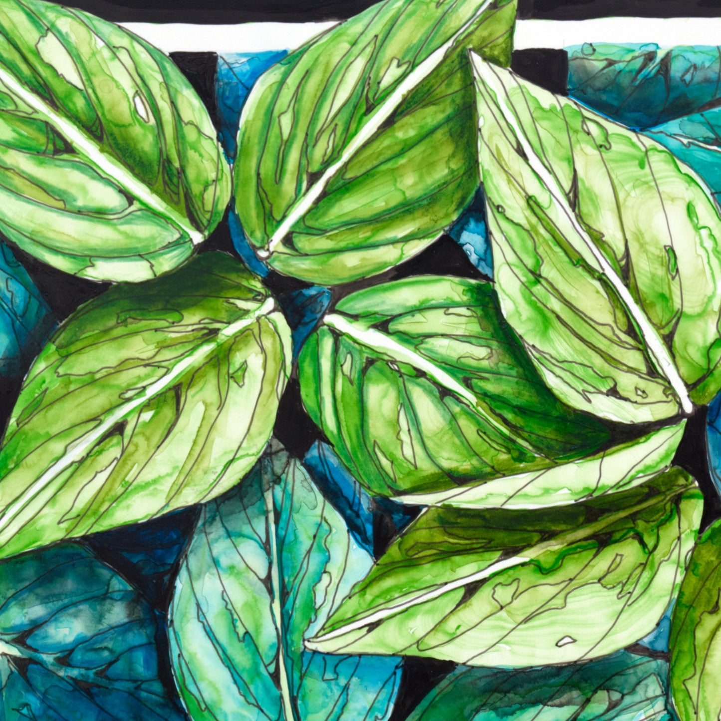 Hosta Leaves Blue