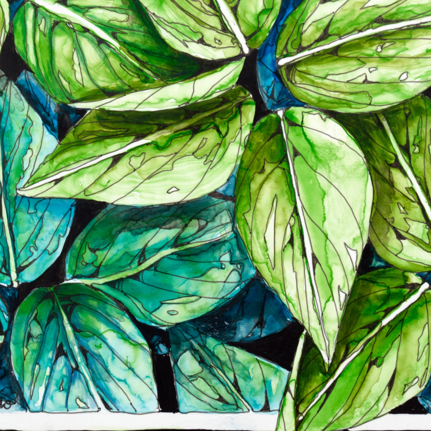 Hosta Leaves Blue