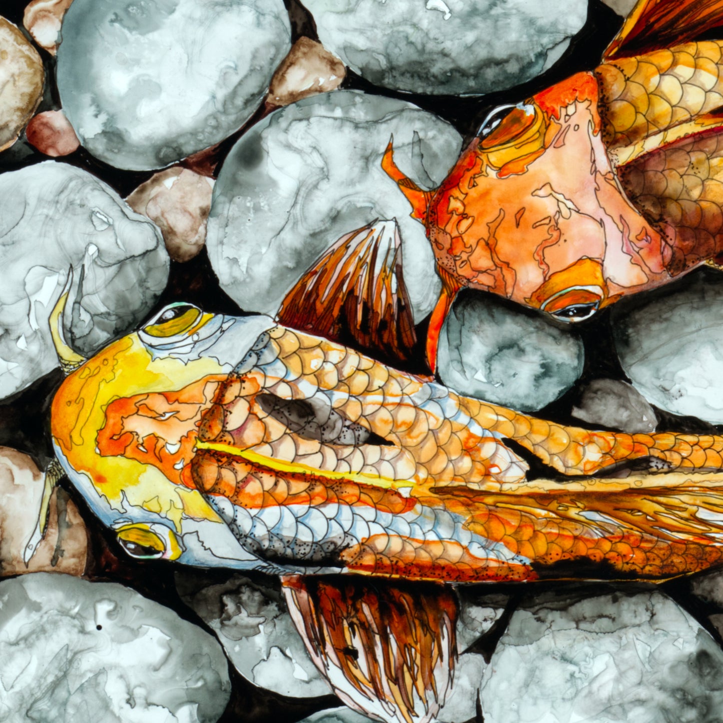 Koi Fish over Rocks